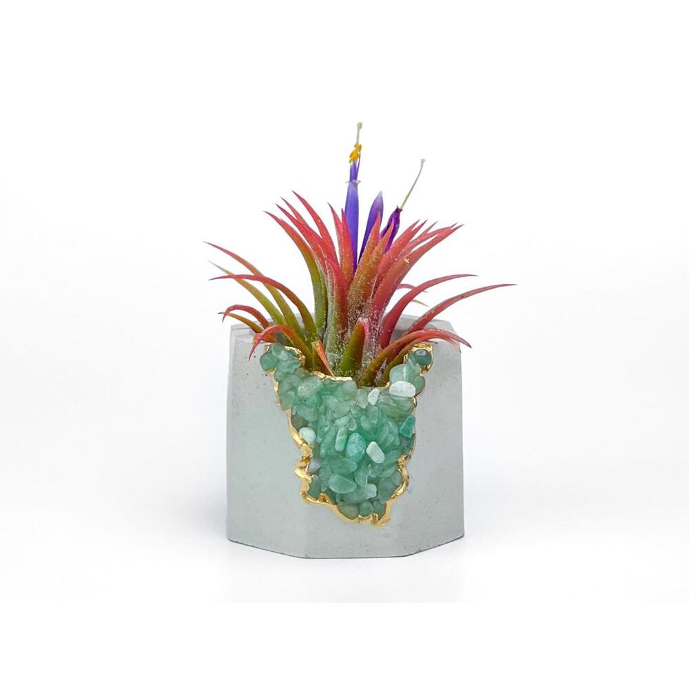 Air Plant Holder Geode Planter Air Plant Planter Succulent
